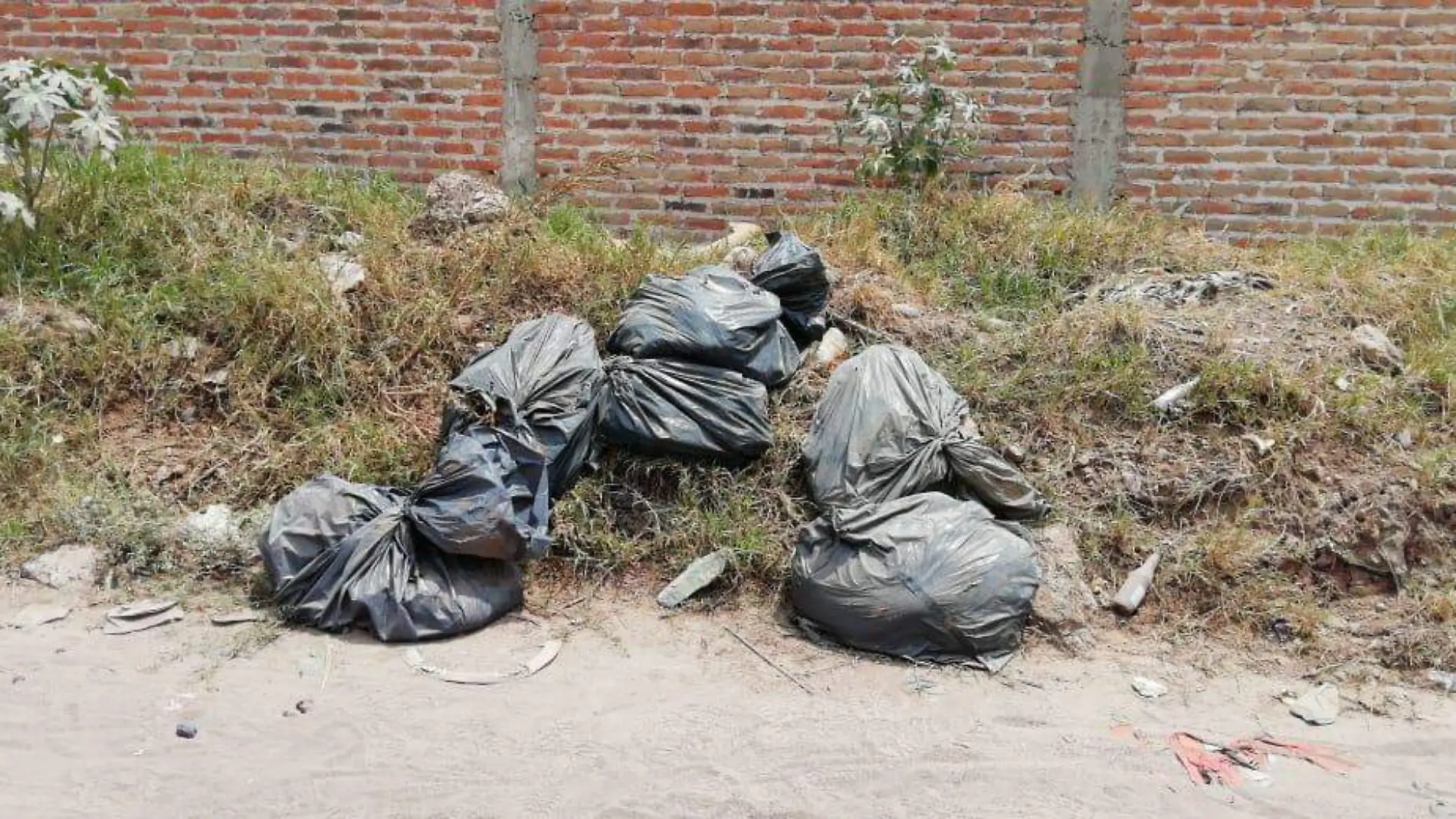 cuerpos descuartizados mexico 2